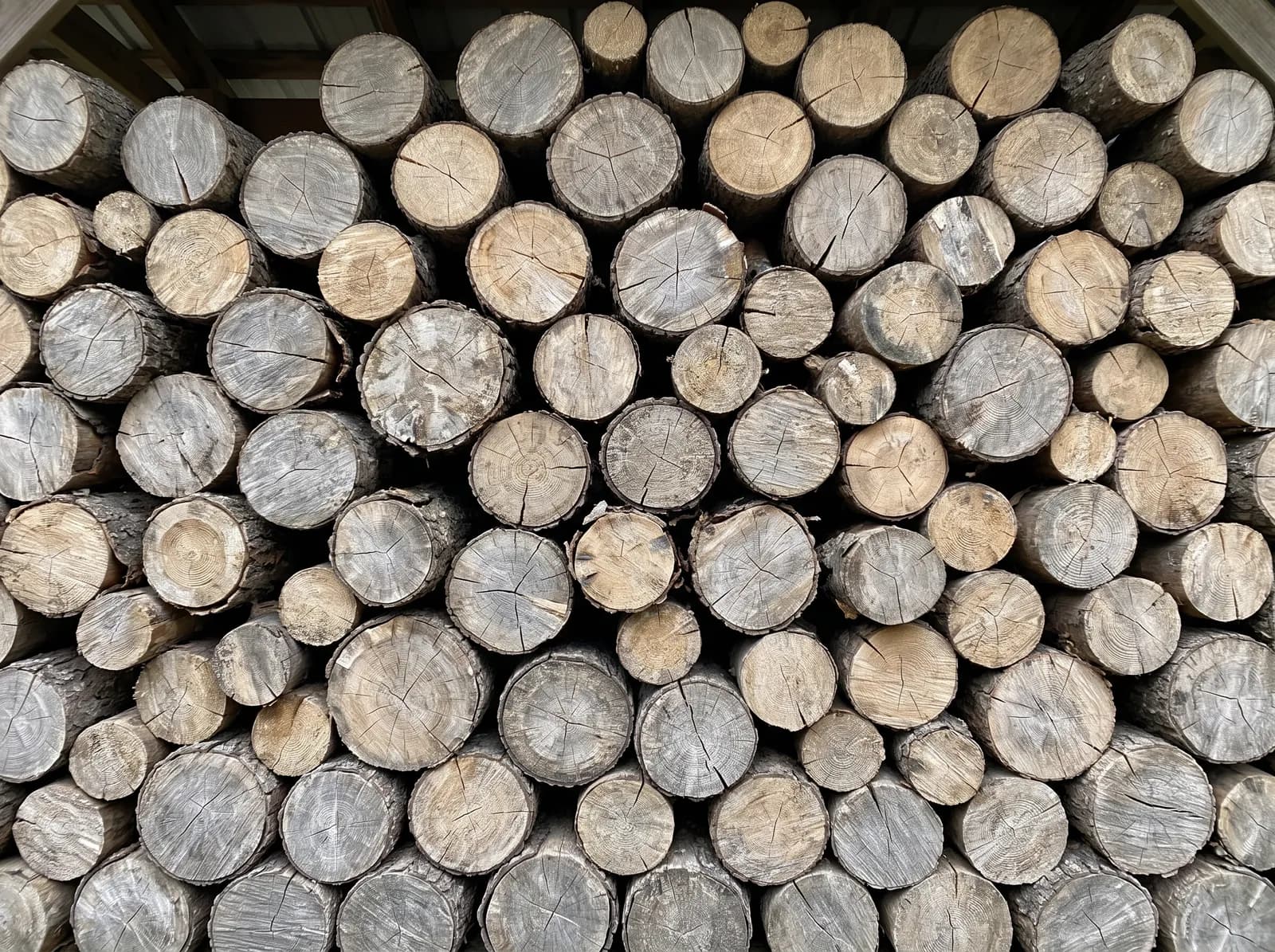 Rondins de bois stockés sous abri
